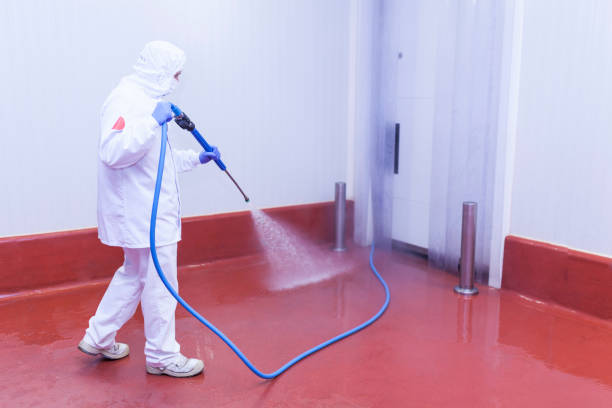 Best Playground Equipment Cleaning  in Carrabelle, FL